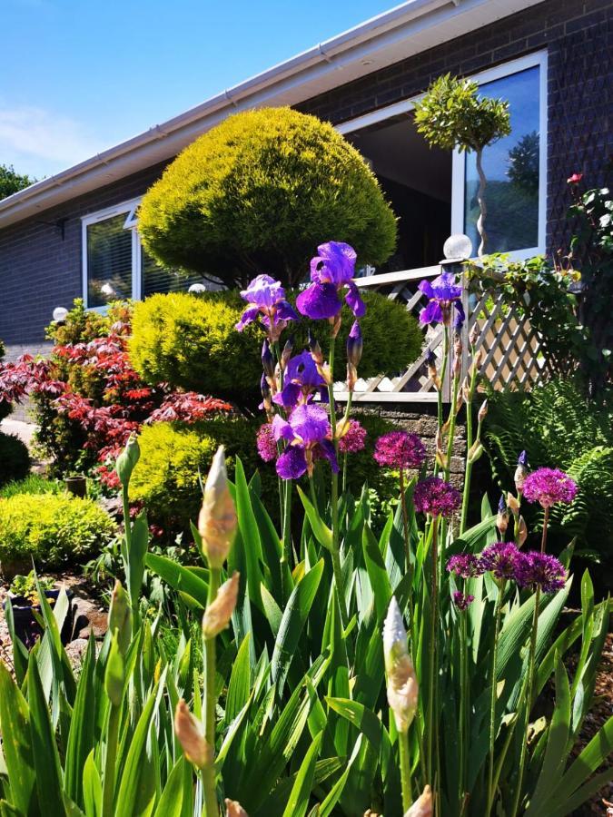 Down The Garden Path Vintage Caravan B&B , Dartmoor Newton Abbot Exterior foto